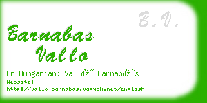 barnabas vallo business card